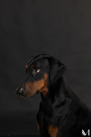 Savannah & Ozzy-007