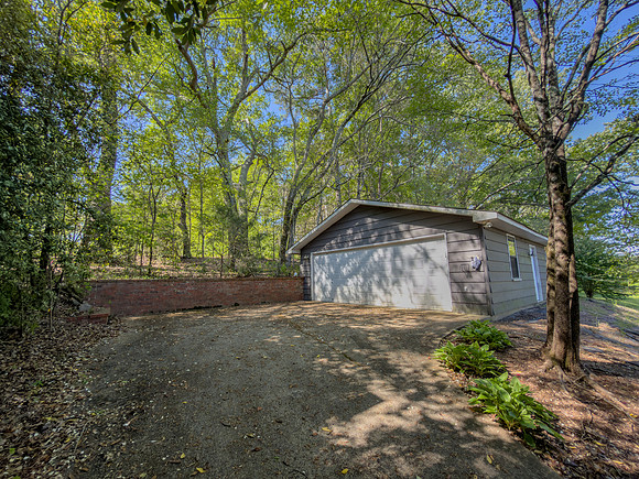 Spring Creek-2