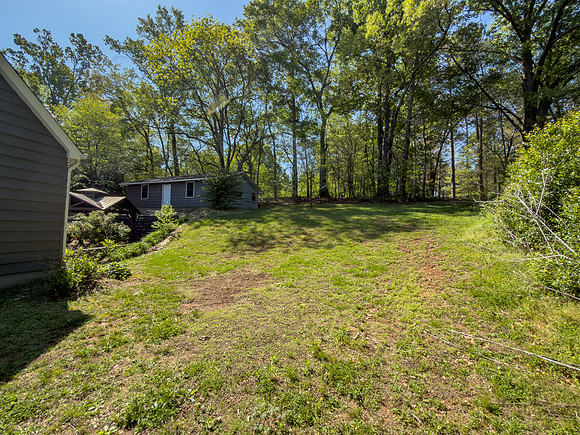 Spring Creek-13