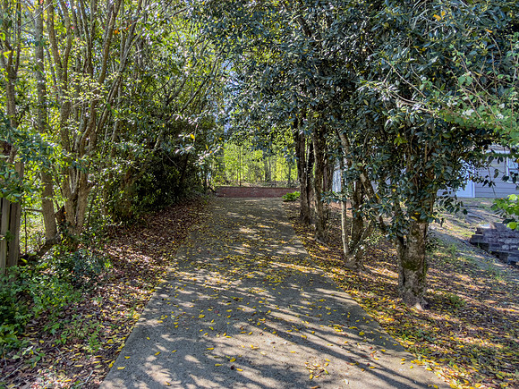 Spring Creek-18