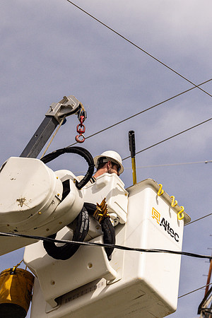 Penery 2026-52