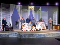 Cat on a hot tin Roof