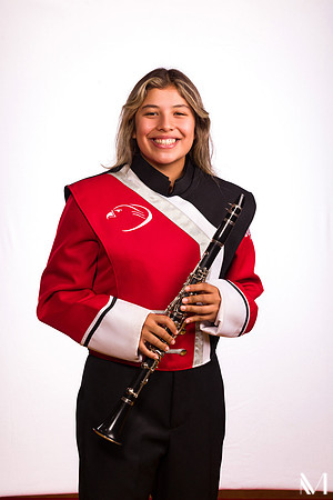 DHSBAND-083