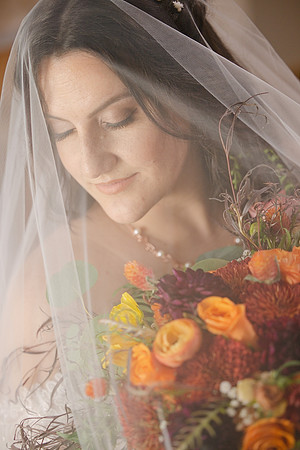Brown8573-0159