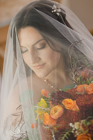Brown8573-0164