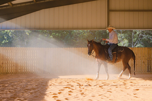 THOR9527