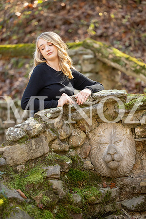 NAN_9627