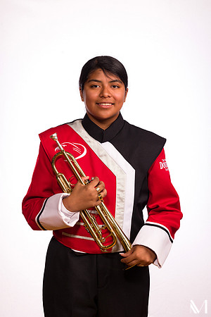 DHSBAND-115