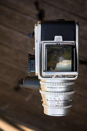 Manley5264-024