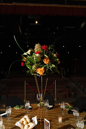 Whole Backstage Gala-116