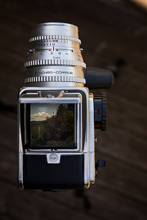 Manley5264-023