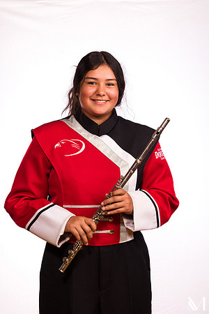 DHSBAND-203
