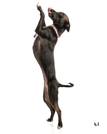 McAnnally4894-13