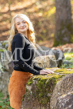 NAN_9413