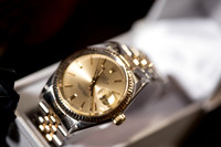 Zanlunghi3524-0008
