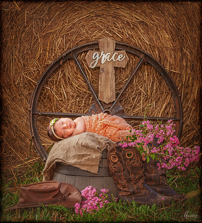 The Farmers Daughter