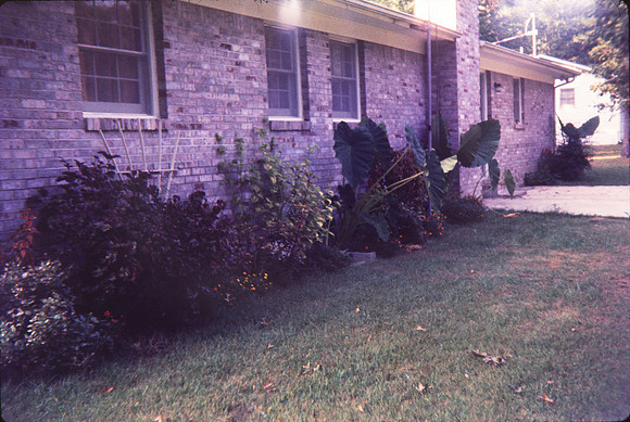 Cooksey57