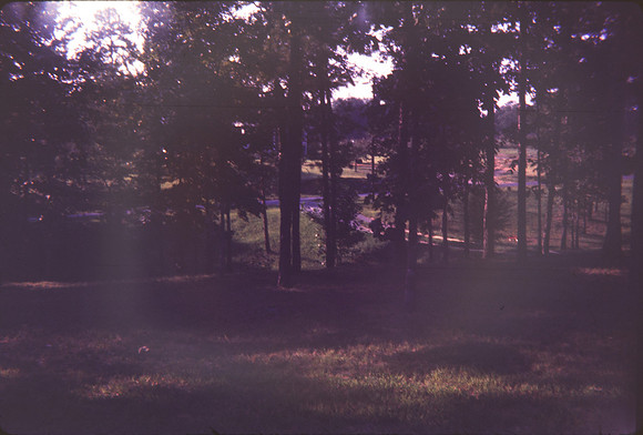Cooksey68