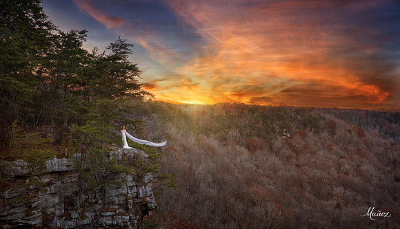 BurnsBluff-0029