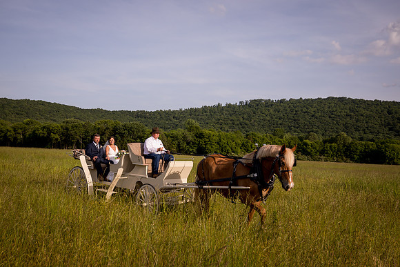 Evett2192-282