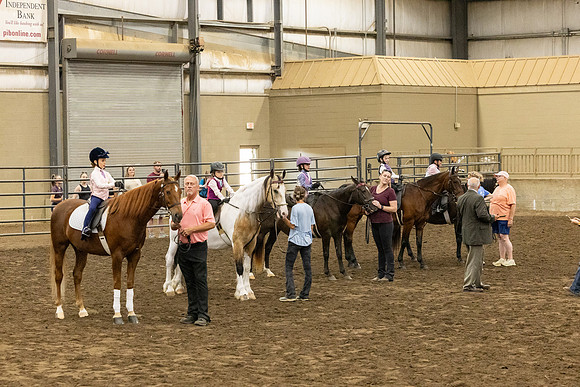 NAN_4478