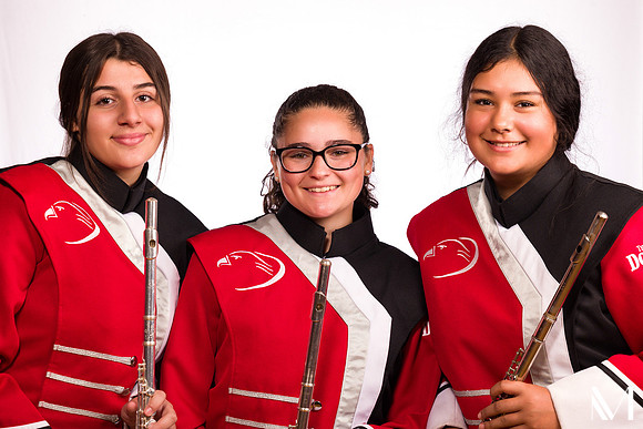 DHSBAND-205