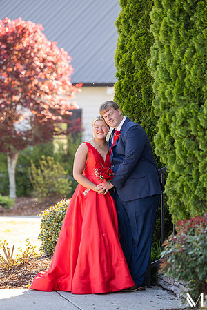 NAN_2231