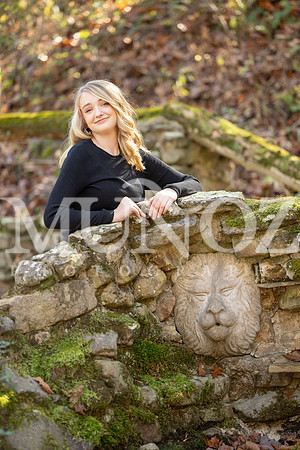 NAN_9617