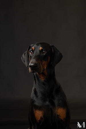 Savannah & Ozzy-025