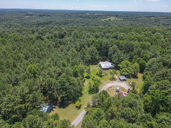 dji_fly_20240701_125858_594_1719856822758_photo
