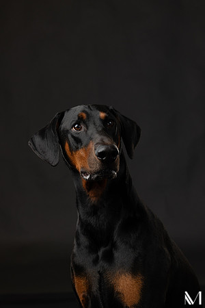 Savannah & Ozzy-030