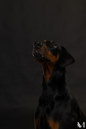 Savannah & Ozzy-010