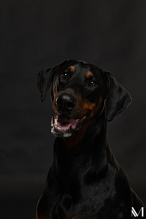 Savannah & Ozzy-021