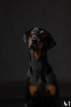 Savannah & Ozzy-026