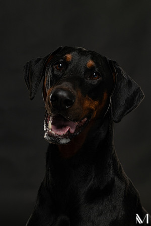 Savannah & Ozzy-022