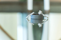 Liebel4941-005