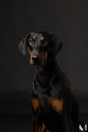 Savannah & Ozzy-031