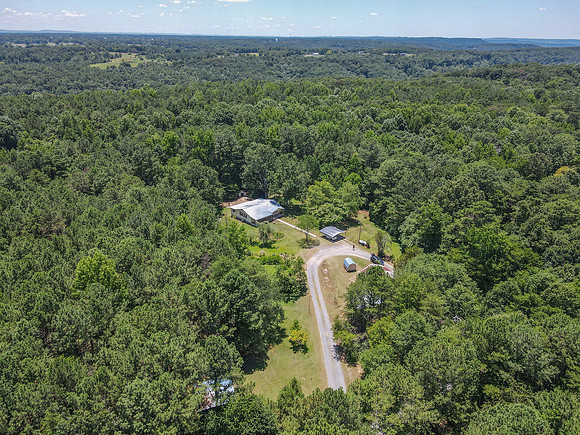 dji_fly_20240701_125846_593_1719856774798_photo