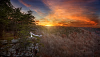 BurnsBluff-0029