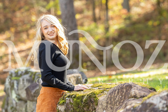 NAN_9406