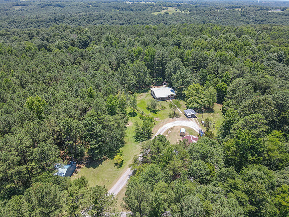 dji_fly_20240701_125902_595_1719856785041_photo