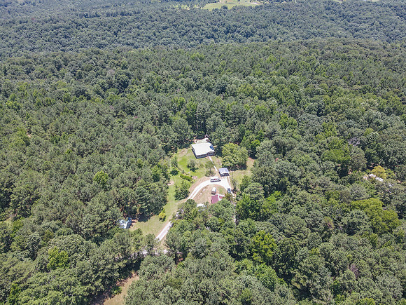 dji_fly_20240701_130342_601_1719857067969_photo