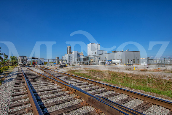 NELSON2504-091