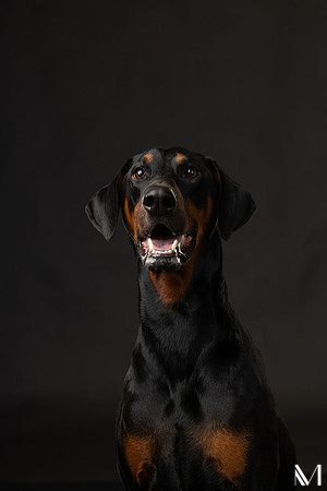 Savannah & Ozzy-032