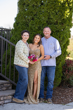 NAN_1383