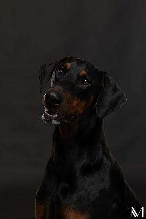 Savannah & Ozzy-023
